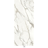 YC1228001P